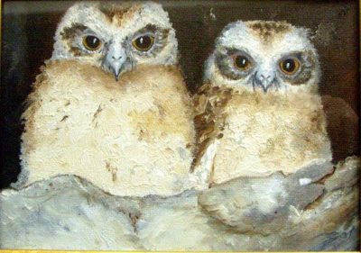 Oil painting of two fluffy boobook owl chicks with amber eyes on a dark background