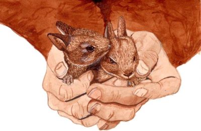 Watercolour and ink painting of two baby rabbits held in cupped hands, in warm sepia tones