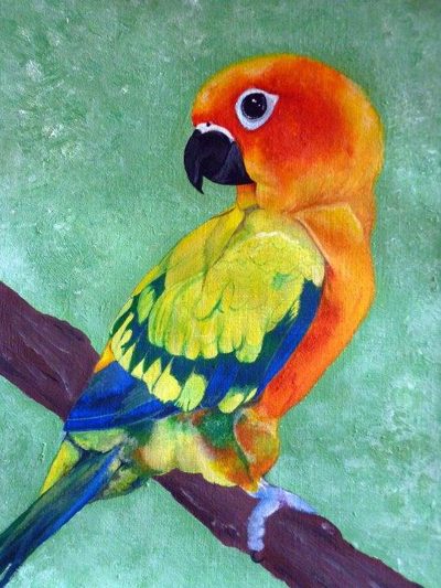 Acrylic painting of an orange, yellow and blue sun conure parrot on a branch against a green background