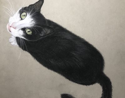 Chalk pastel portrait of a green-eyed tuxedo cat gazing upward, drawn from above