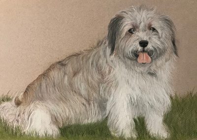 Chalk pastel portrait of a scruffy white terrier-cross sitting on green grass with its tongue out