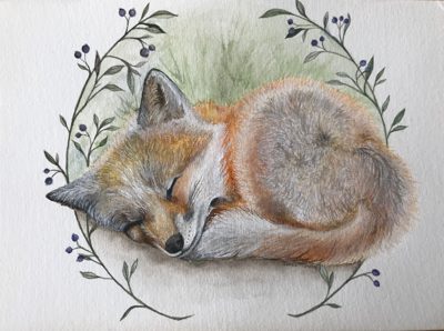 Watercolour of a sleeping red fox curled up inside a wreath of leafy berry branches