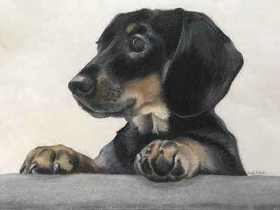 Chalk pastel portrait of a black-and-tan dachshund peering over a ledge with paws forward