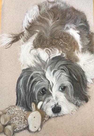 Chalk pastel portrait of a shaggy brown-and-white dog resting its chin next to a toy rabbit
