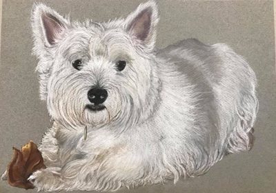 Chalk pastel portrait of a West Highland white terrier lying down beside a russet autumn leaf